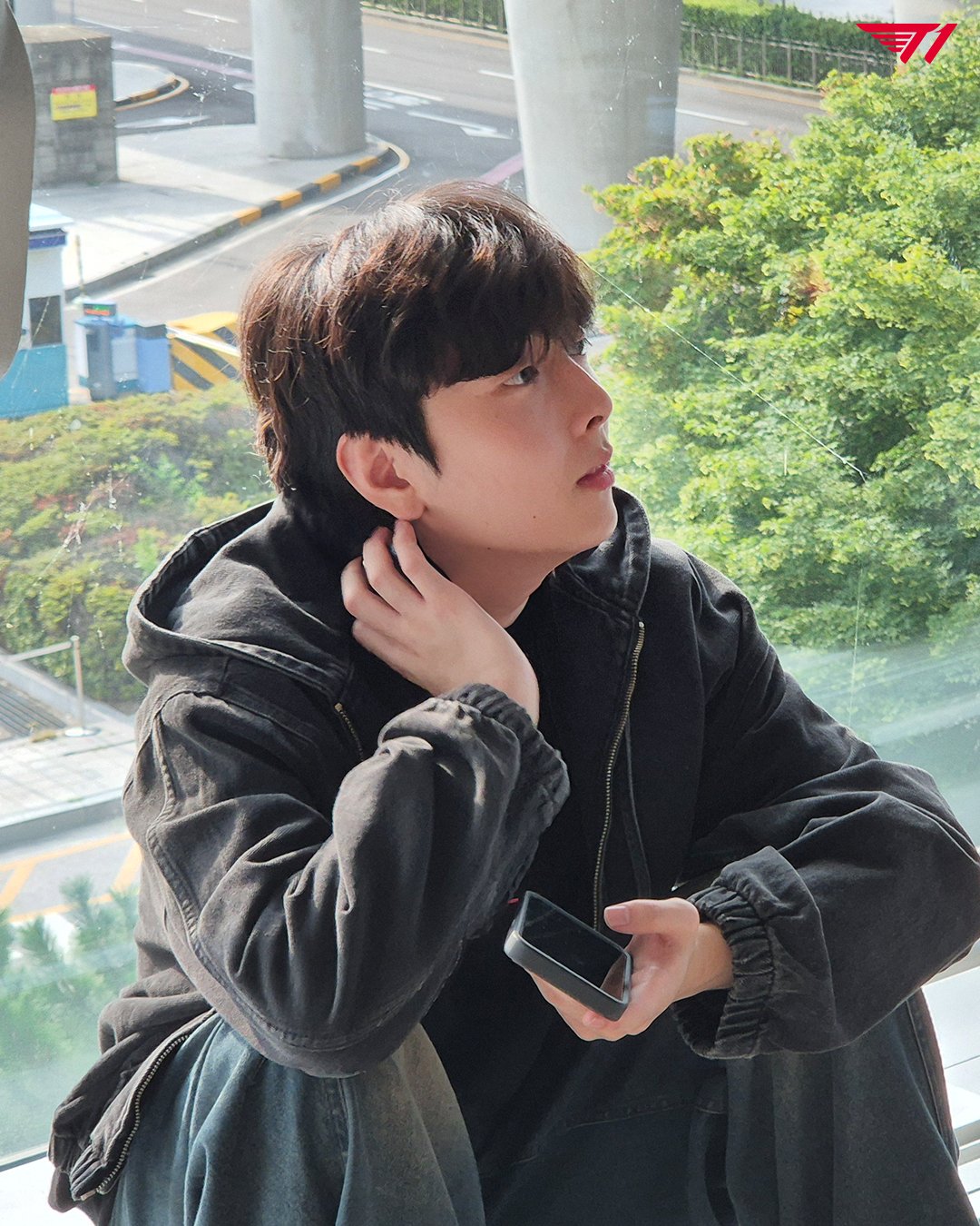 Lwy