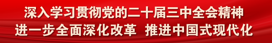 乡村大力王