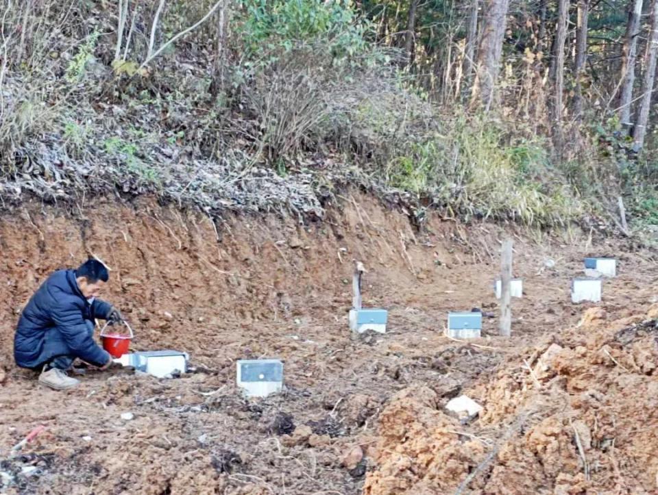 KUSrX, 行全线升级